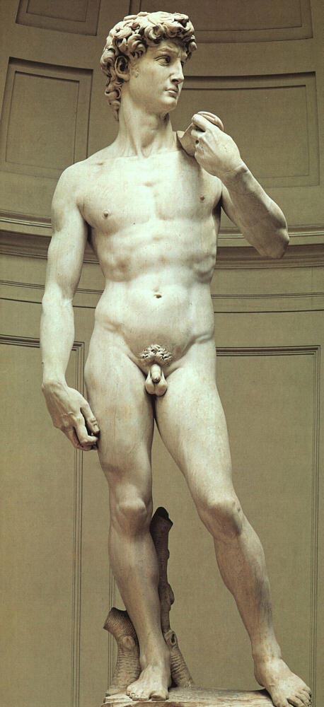 michelangelo_david00.jpg