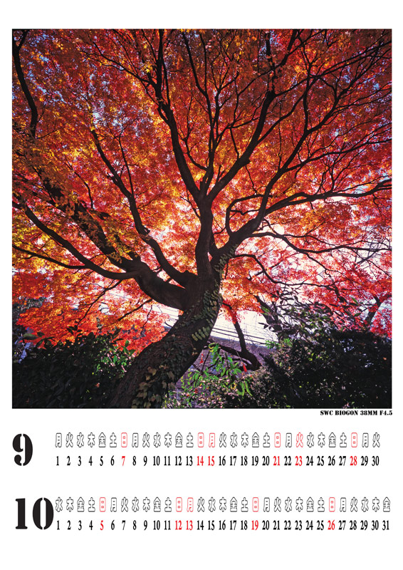 calendar-5forweb.jpg