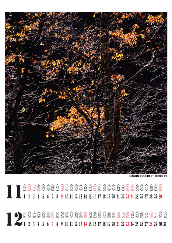 calendar-6forweb.jpg