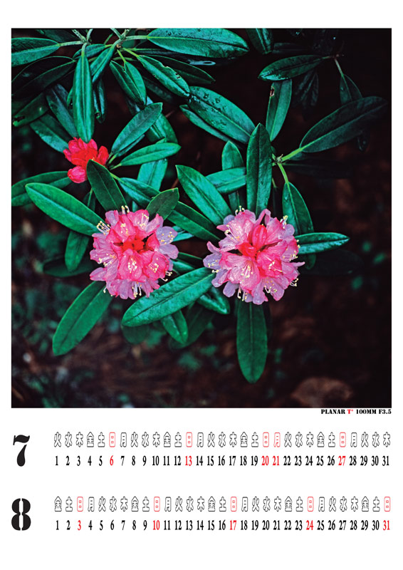 calendar-4forweb.jpg