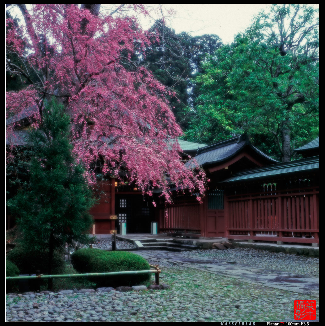 塩釜神社-4forweb.jpg