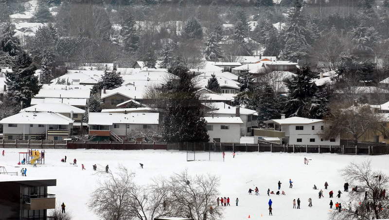 雪后的公园