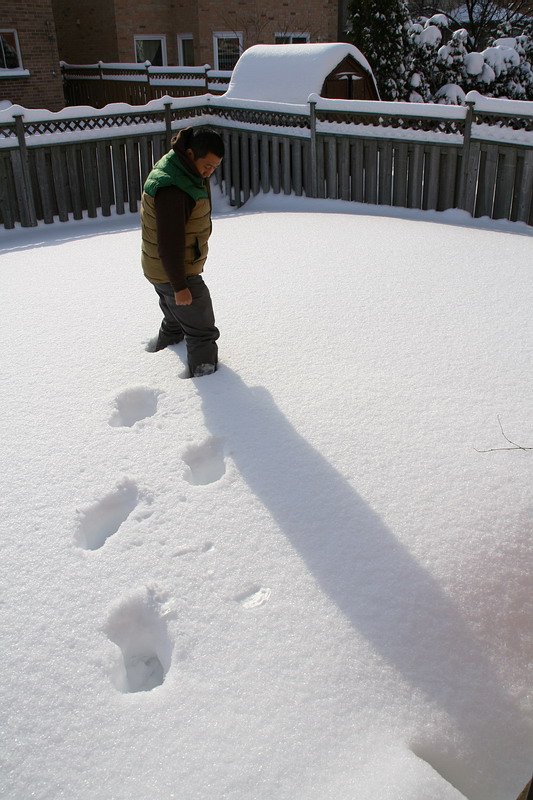 第一次在加过冬就遇上了50年未见的大雪。隔三岔五既要下一次。