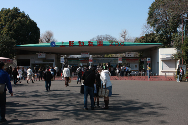 2008-03-08-ueno-05.jpg