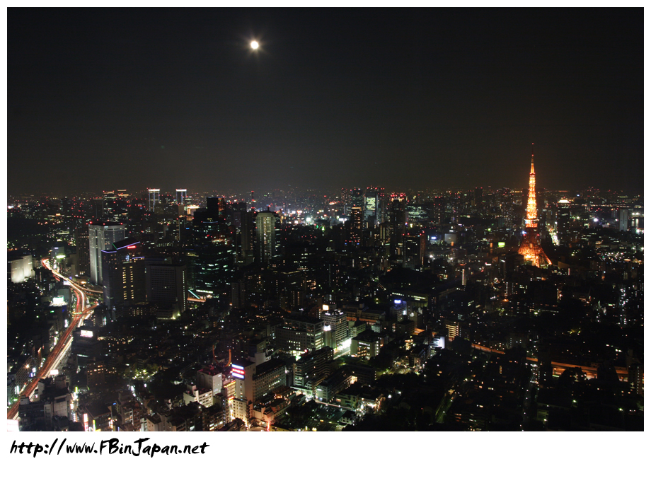 2007-11-25-tokyo-night-view-01.jpg