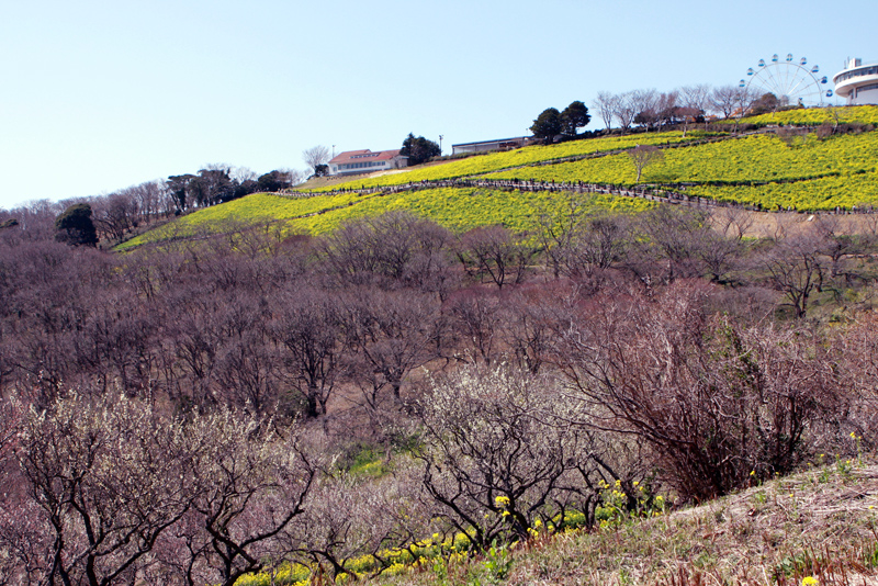 2008-03-22-farm-04.jpg