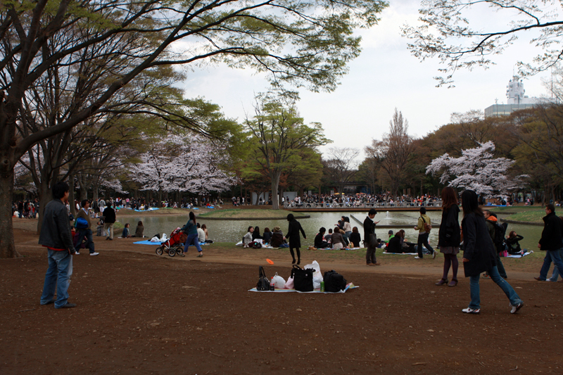 2008-3-29-yoyogi-fbers-09.jpg