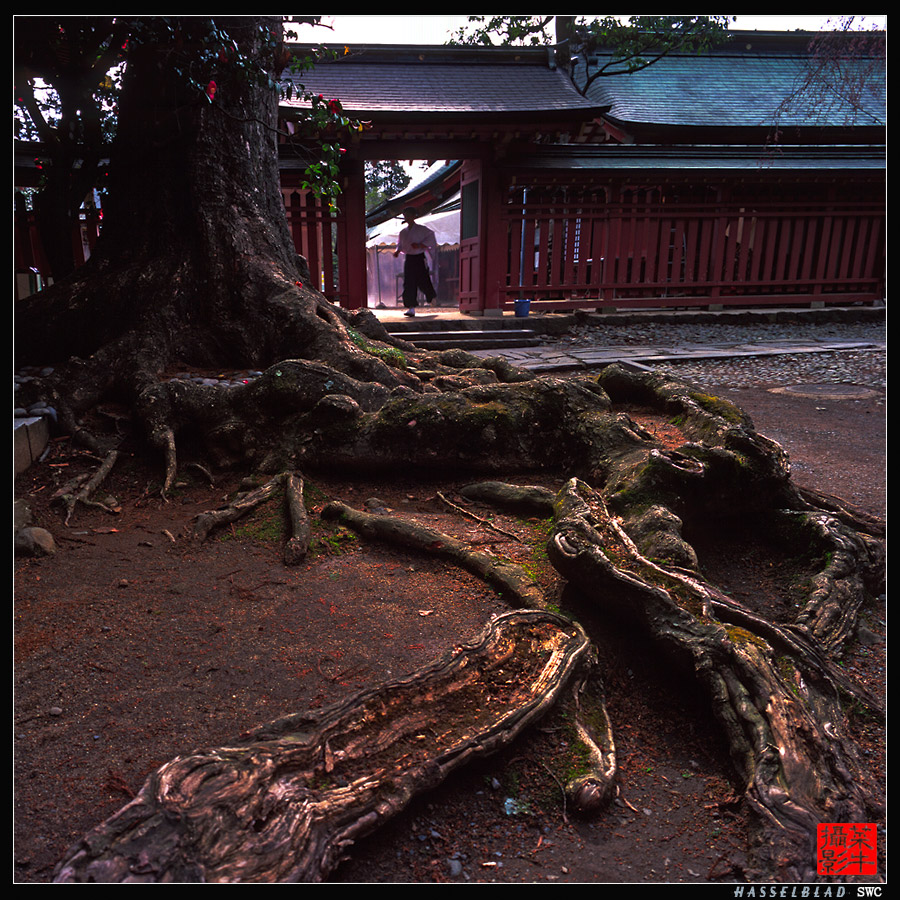 塩釜神社forweb.jpg