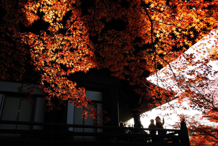 京都东阵名寺---真如堂。
