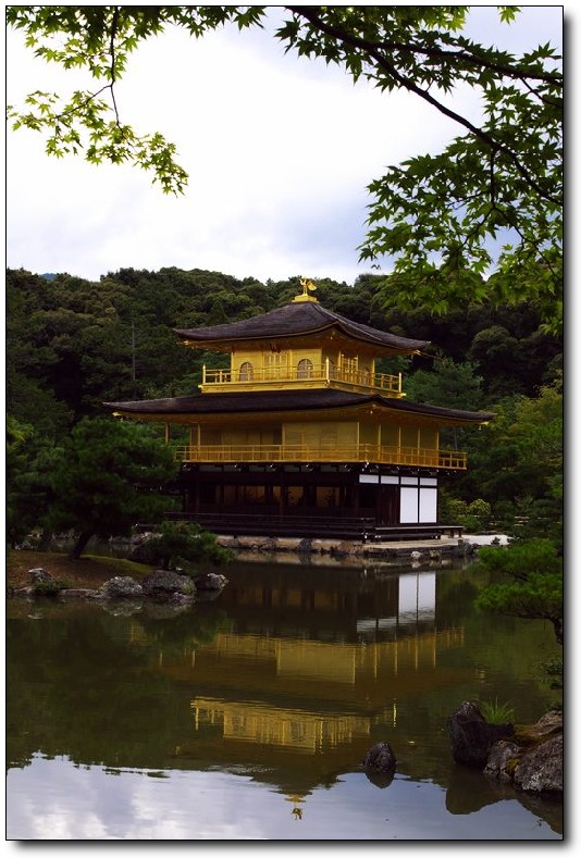 金阁寺,红叶树很多