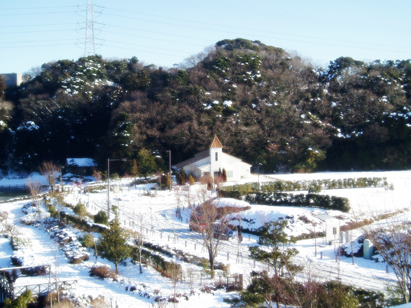 有法国「牛」的餐厅