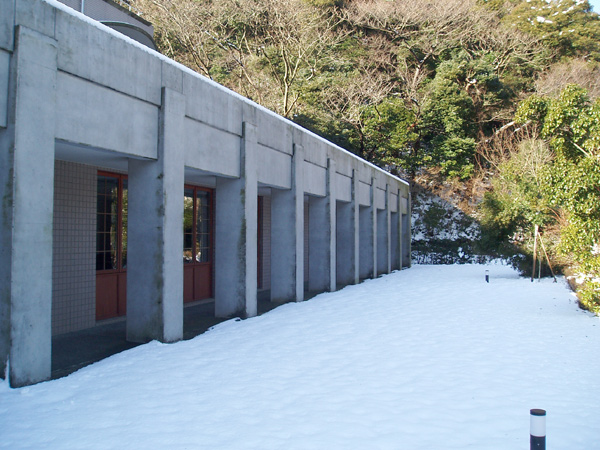 后院积雪