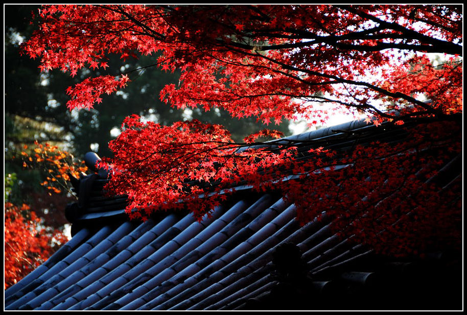 京都南禅寺。