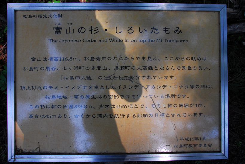 松岛（42）富山的文字解析。