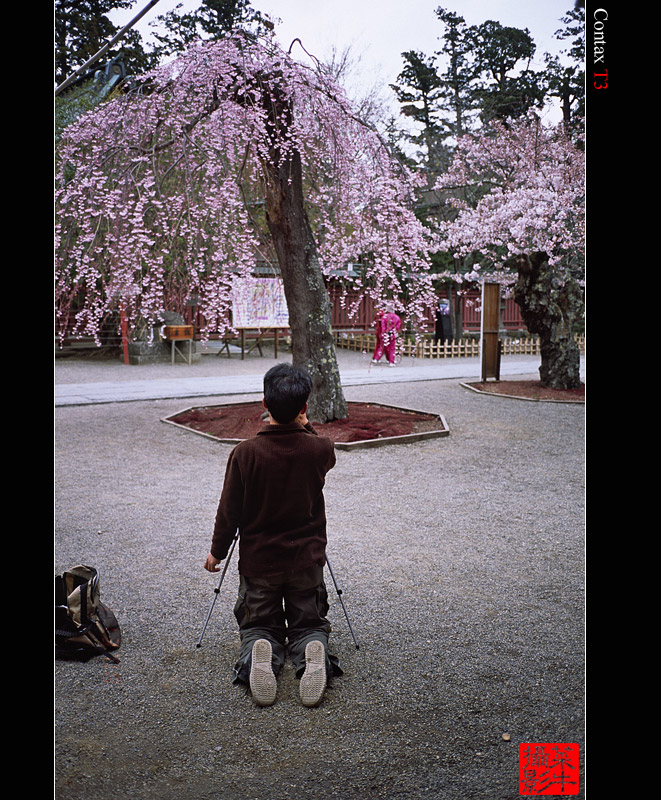 塩釜神社-2forweb.jpg