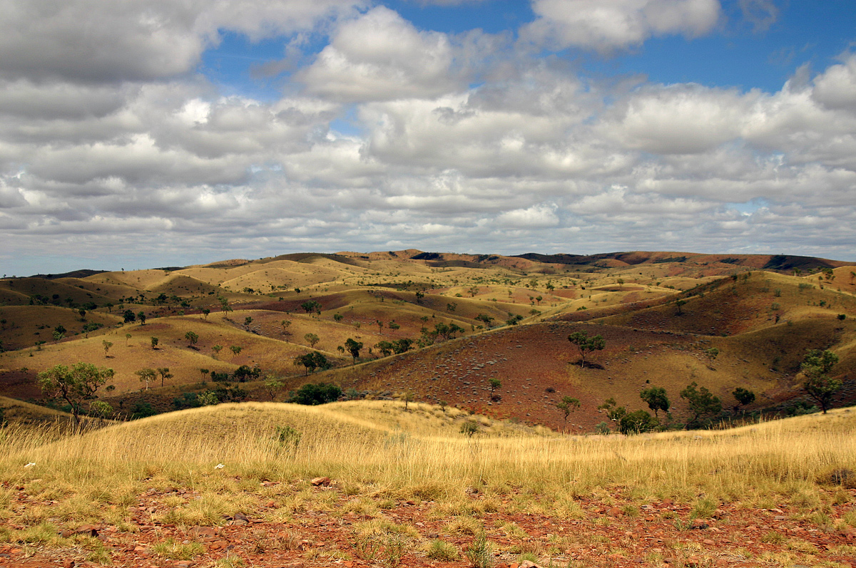 2005-au-kings-grassland-01.jpg