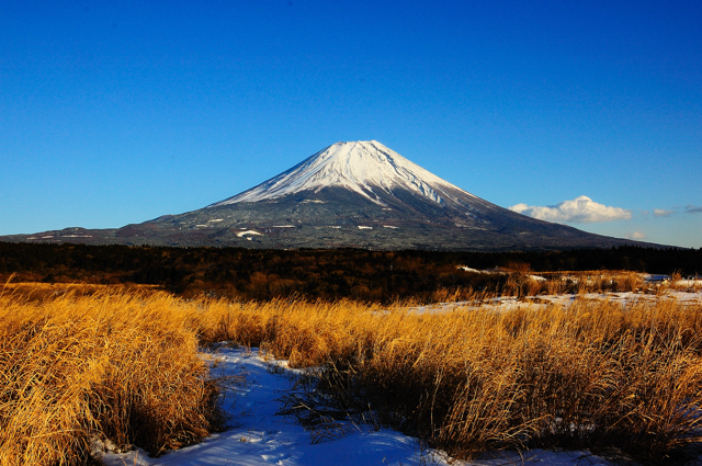 朝雾高原看富士山