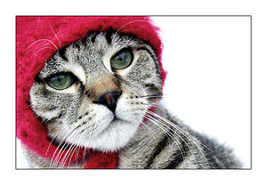 cat_in_hat_by_seafoodmwg.jpg
