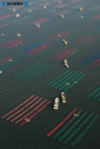 佐賀市沖の有明海に広がる色とりどりのノリ網.jpg