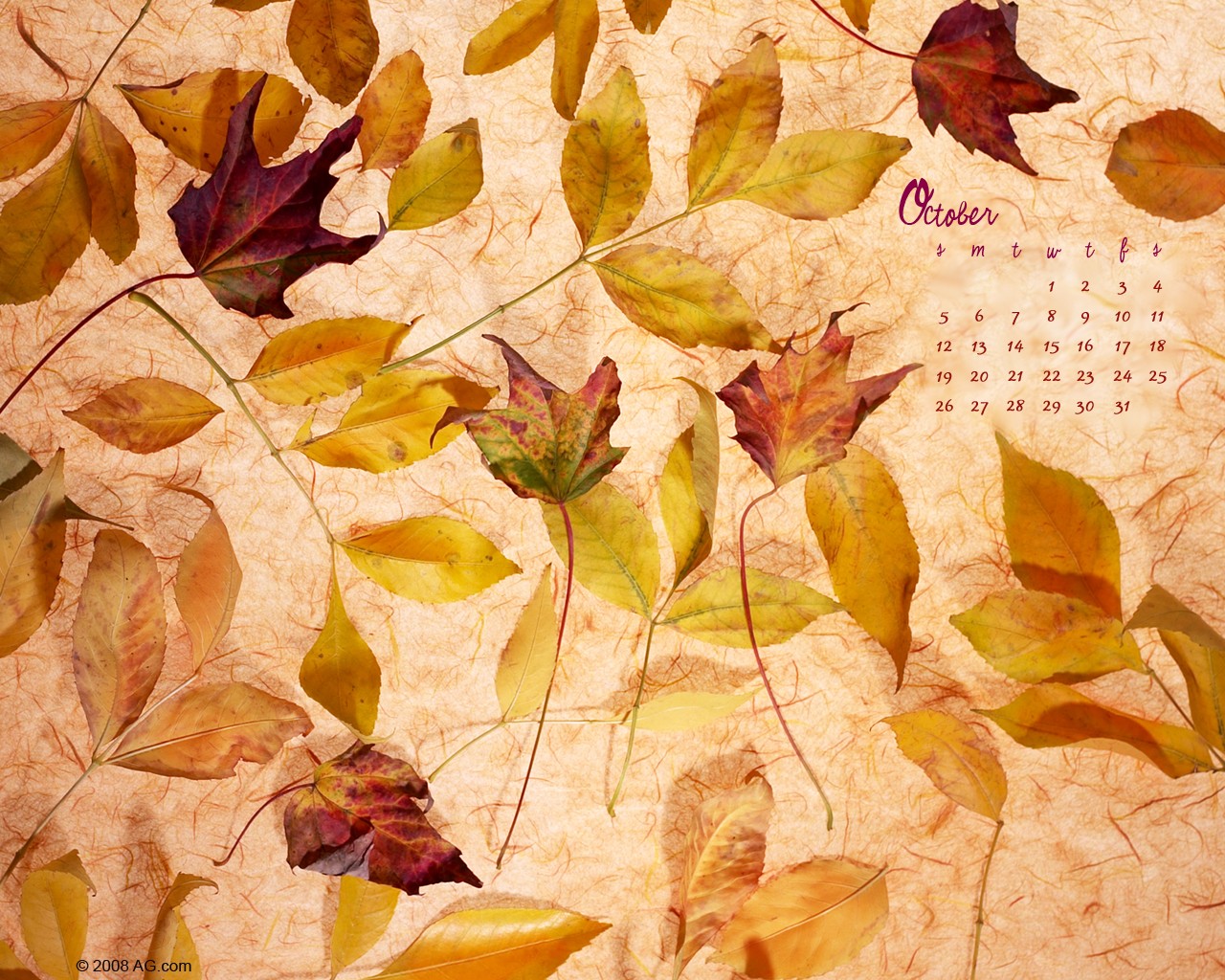 October_2008_calendar_wallpaper_3144003.jpg