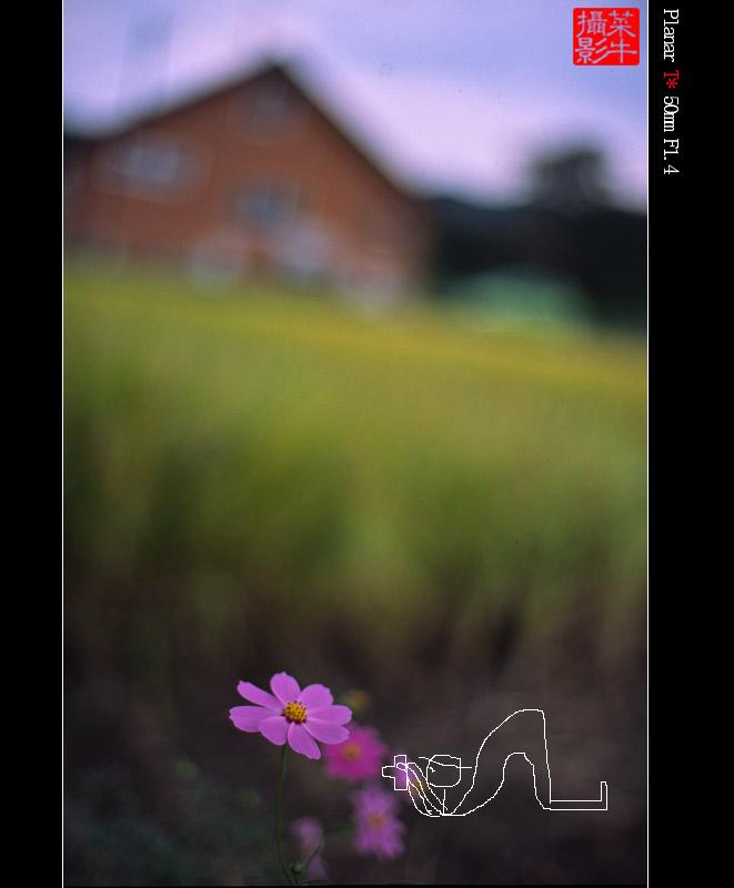 于是跪在地上，撅起屁股．．．