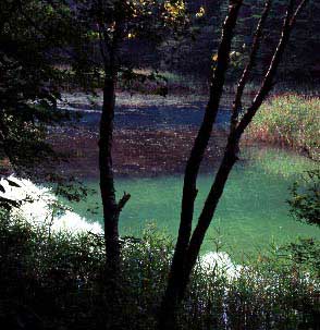 深泥沼  赤沼から５分。ひっそりと水をたたえている。周囲の緑も美しい。