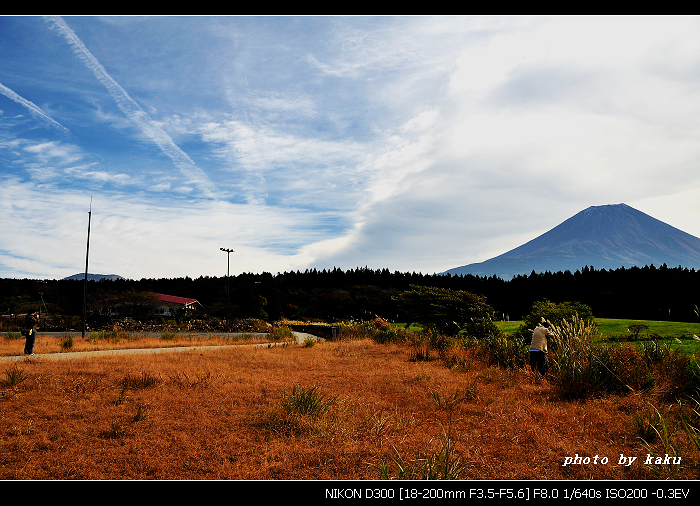 朝霧富士山1