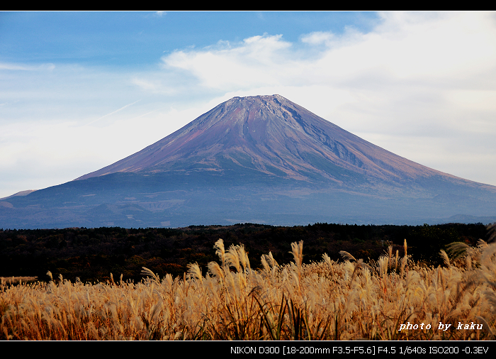 芦苇富士山2