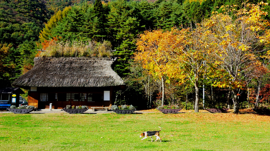 DSC_0520.jpg