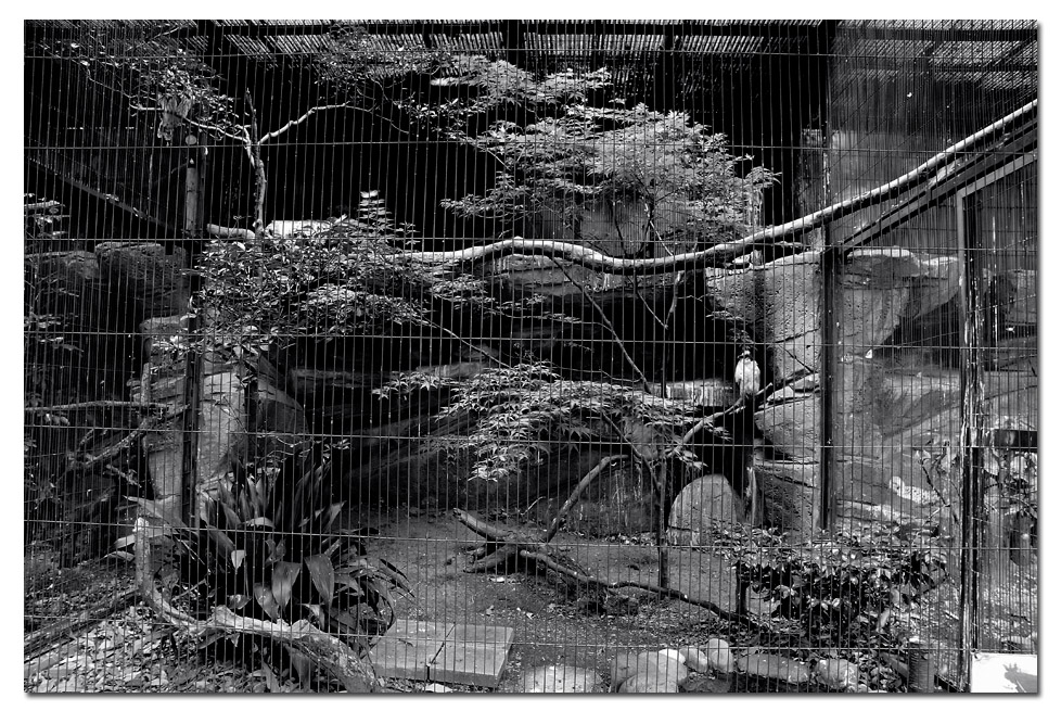 动物园4.jpg