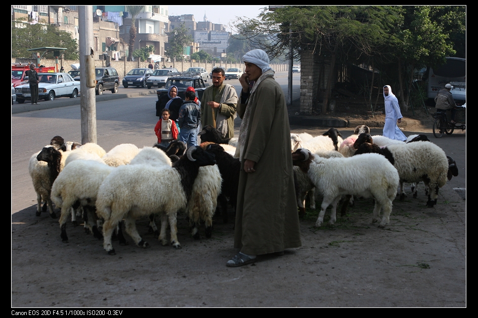 cairo-08.jpg