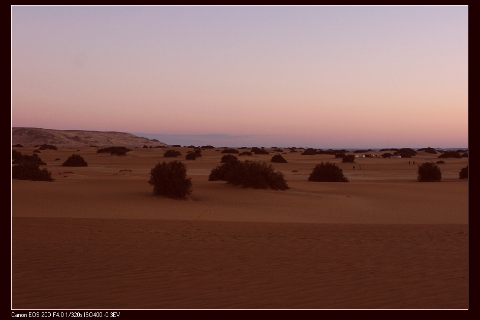 desert-05.jpg
