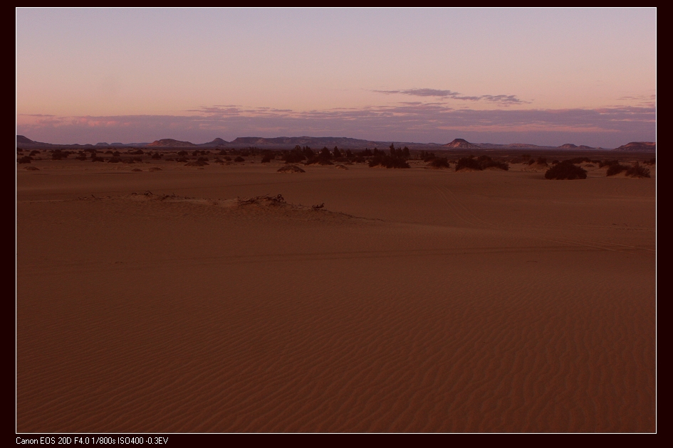 desert-06.jpg