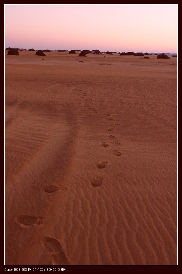 desert-04.jpg