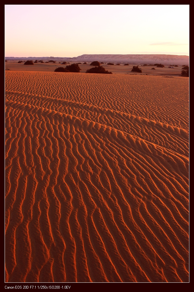 desert-01.jpg