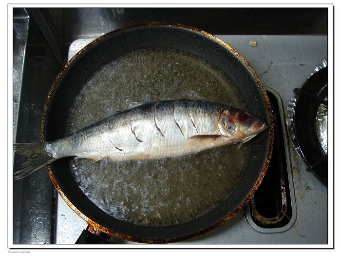 锅中放油烧至七成热，下鱼炸呈微黄色捞出待用。右手被热油烫伤：（