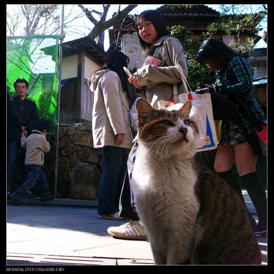 2009-03-05-enoshima-10.jpg