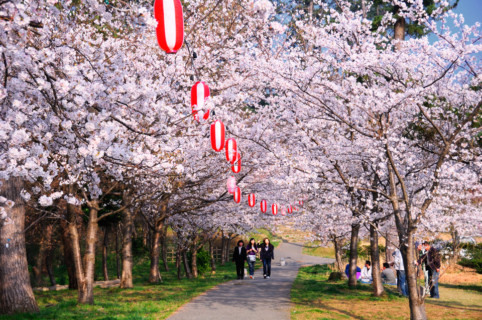 輪島市一本松公園