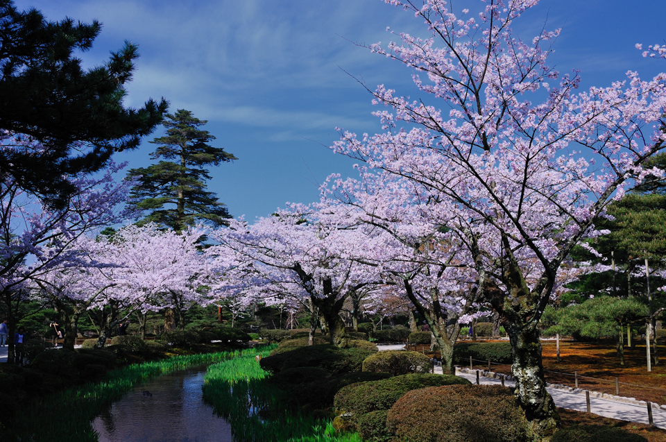 金沢兼六園