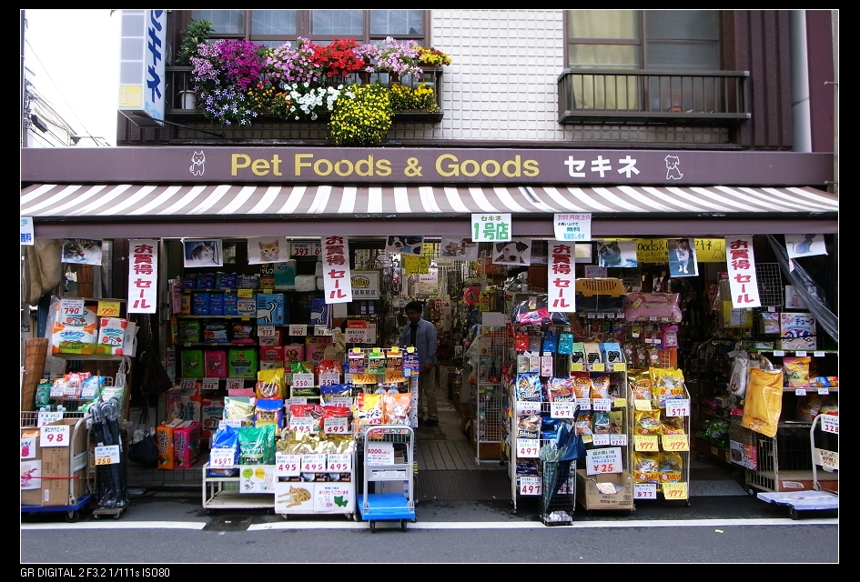 2009-05-24-dongshitiao-shopping-street.jpg