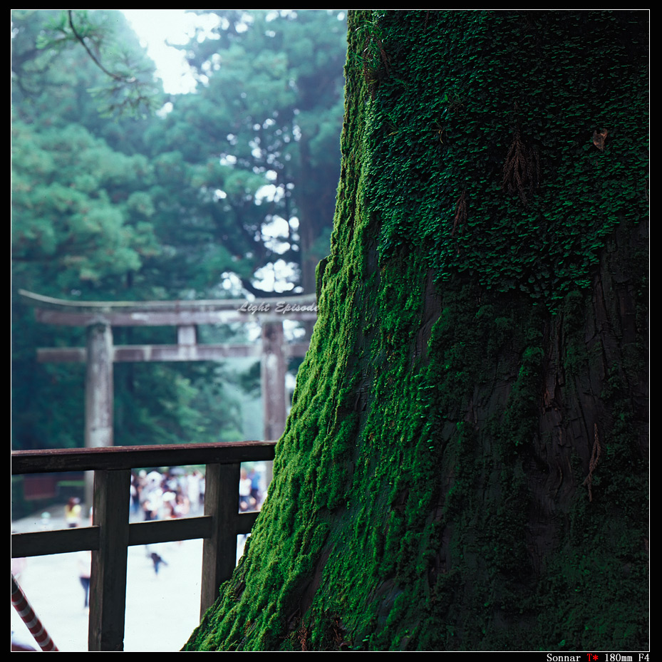 社寺-5forweb.jpg