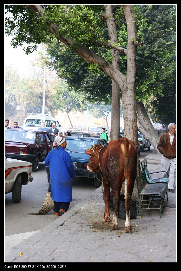 cairo-36.jpg