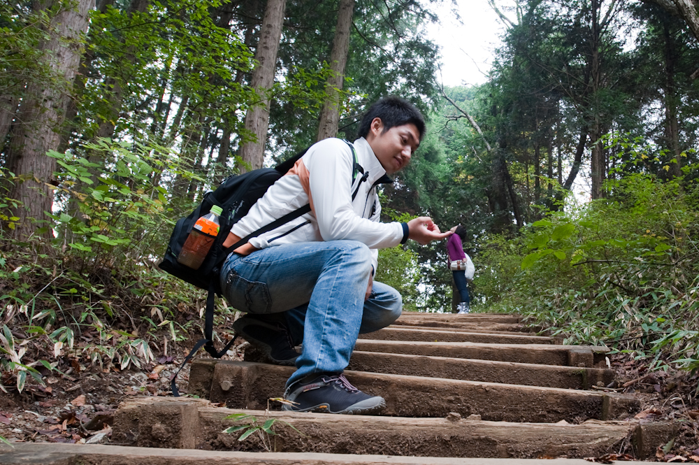 陣馬山-2.jpg