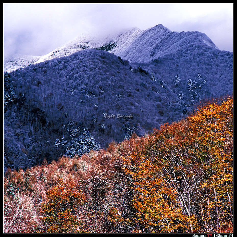 面白山-2forweb.jpg