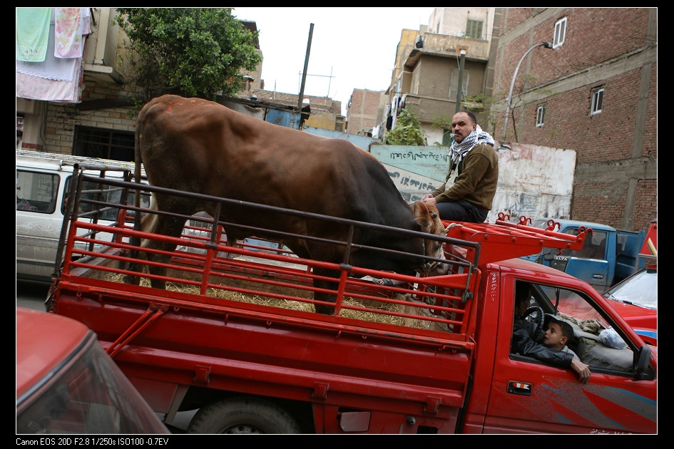 cairo-47.jpg