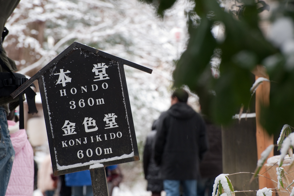 東北3日目-43.jpg