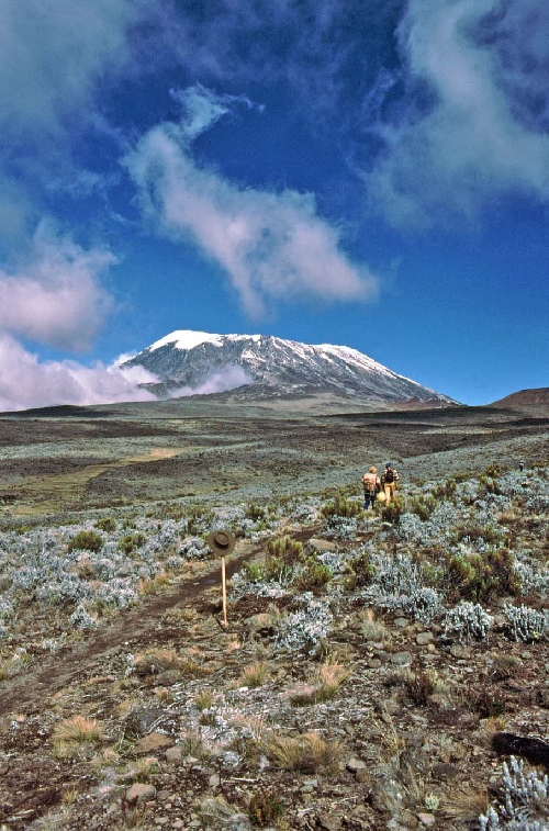 mount_kilimanjaro.jpg