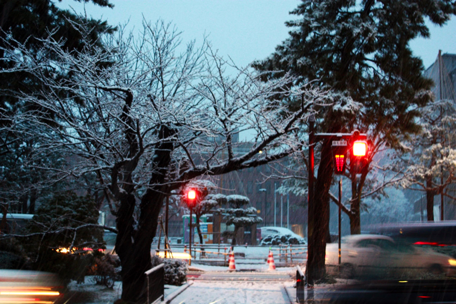 ?初雪.jpg