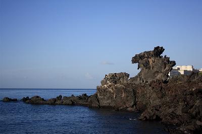 _MG_2409-w400.jpg