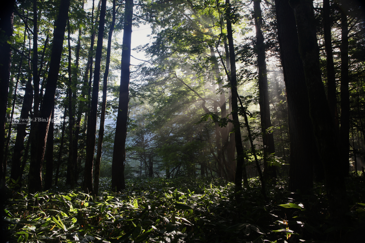 2010-08-20-kamikouji-01.jpg